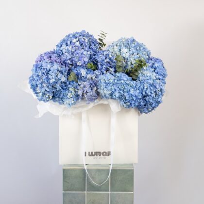 Blue Hydrangeas