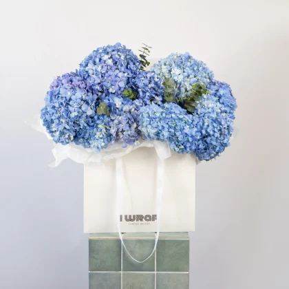 Blue Hydrangeas