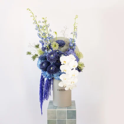 blue n white flowers