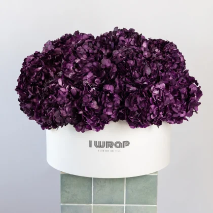 Deep Velvet Hydrangeas